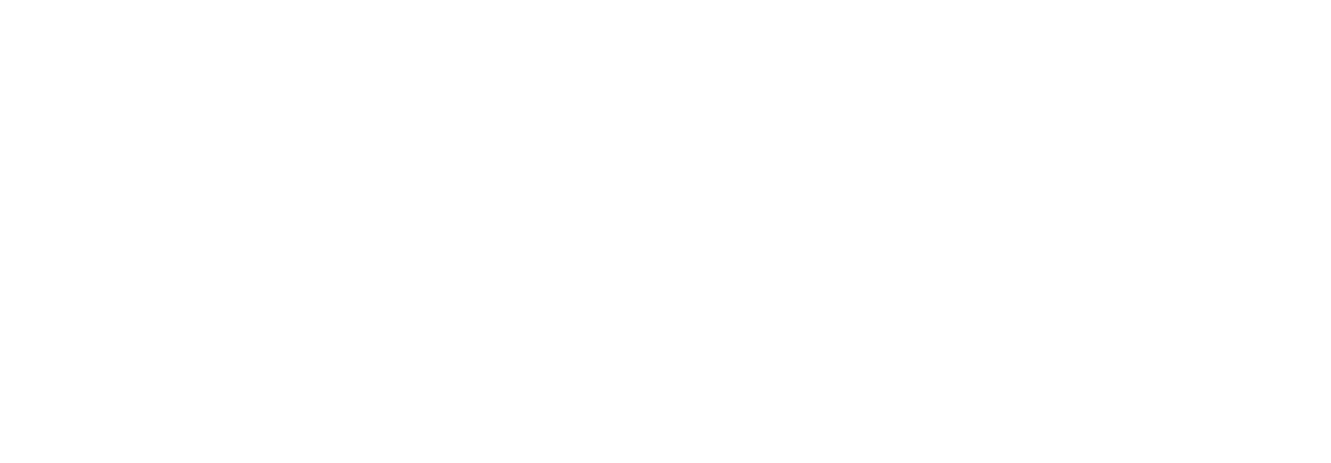 HiZone logo Footer